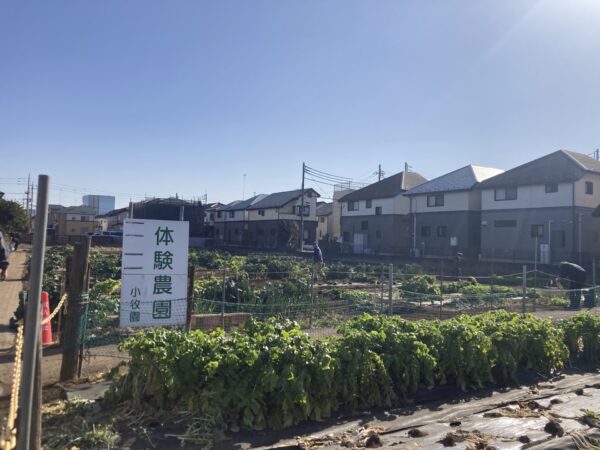 農園見学「体験農園 小牧園」